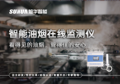 智能油烟在线监测仪：看得见的油烟，管得住的安心